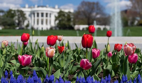 Bidens now have FIVE NEW scandals to address