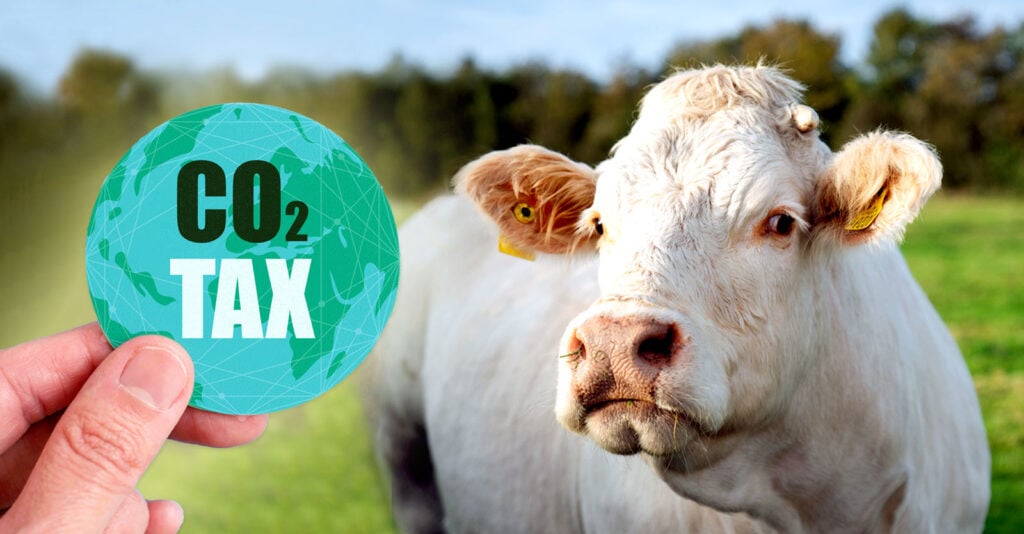 ‘Scary Experiment’: Denmark to Tax Livestock Emissions, Critics Say Small Farmers Are Real Target