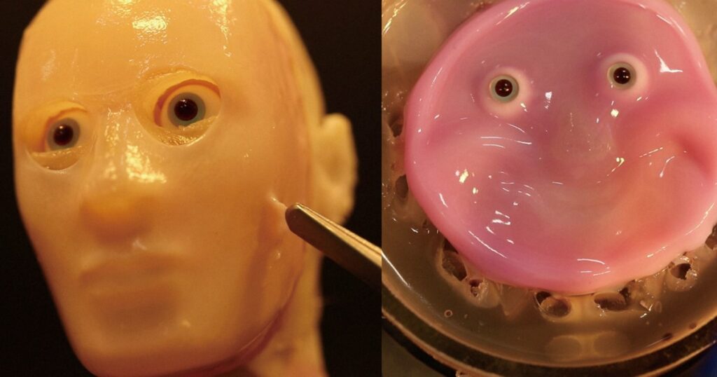 Japan researchers create facial robot covered with 'living skin'