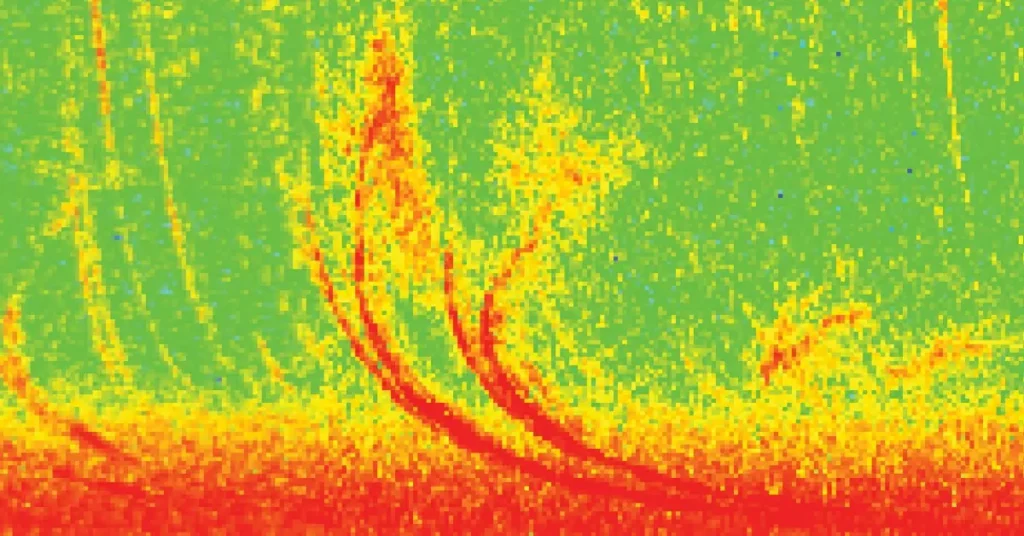 Discovery of electromagnetic wave reveals new phenomenon affecting Earth’s radiation belts