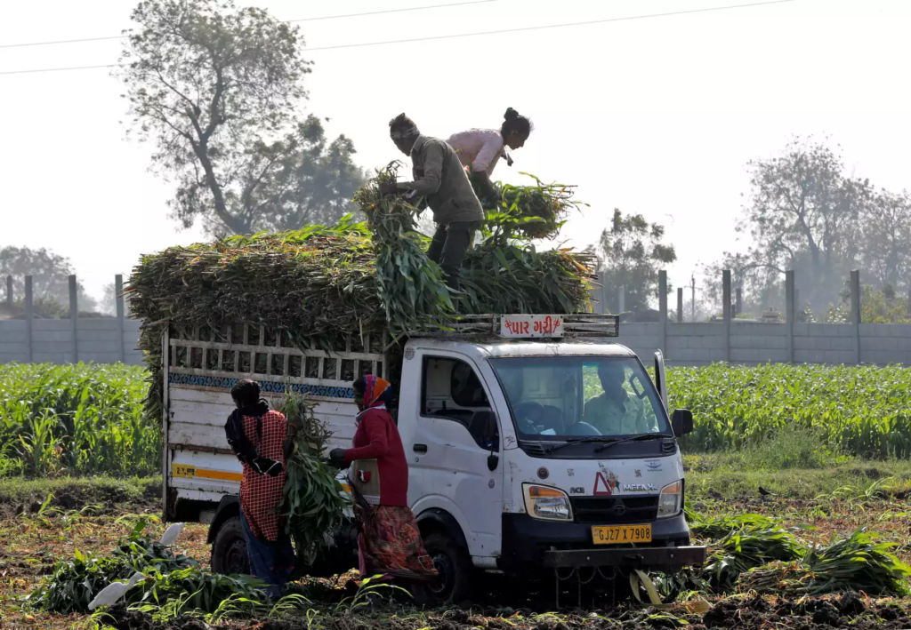 Ethanol push turns India into corn importer, shaking up global market