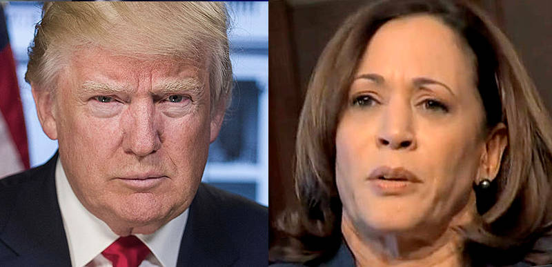 Kamala has been getting support from IRAN via hacked Trump campaign information