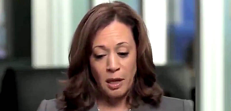 Contemptible Kamala is LYING about a Georgia woman dying from abortion ban