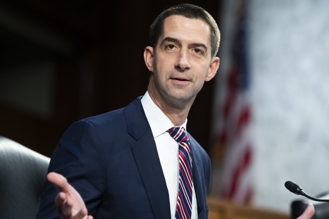 Cotton Bursts Bash's Bubble on Cheney's Harris Endorsement and Hunter Biden Laptop Lies