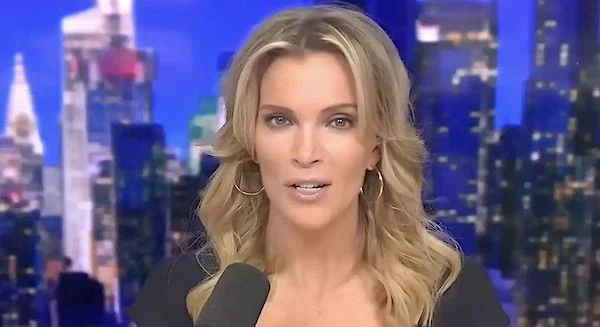 WATCH: Megyn Kelly stuns 'clown' who claims Trump has been convicted 3 times already