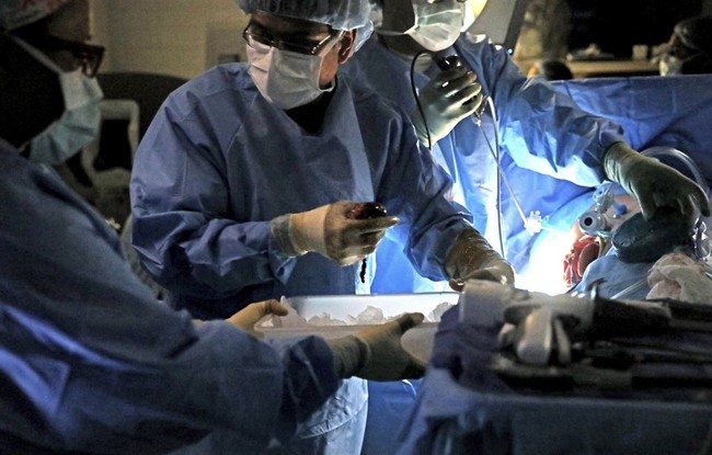 People Opting Out of Organ Donor Programs After Reports of a Donor Mistakenly Declared Dead