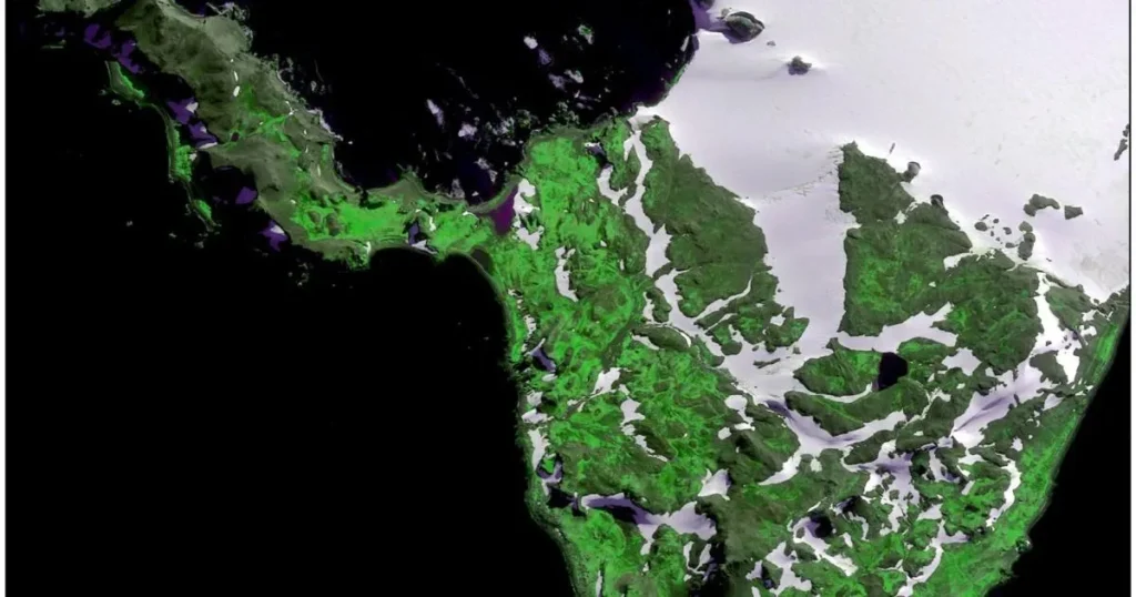 Worrying satellite image shows Antarctica is turning green at a ‘dramatic’ rate