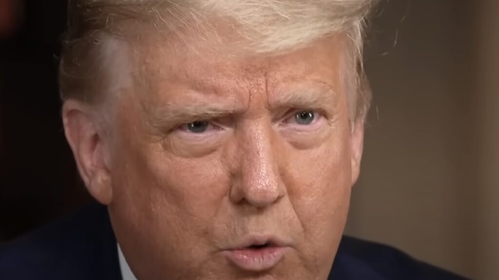Border Patrol Union Backs Trump, Criticizes Harris