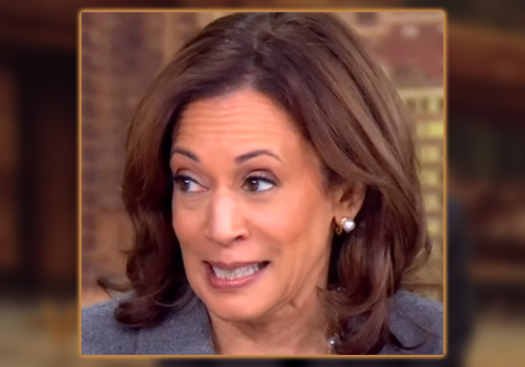 'Not a Thing That Comes to Mind': Vowing New Way Forward, Harris Says She Wouldn't Have Done Anything Different Than Joe Biden