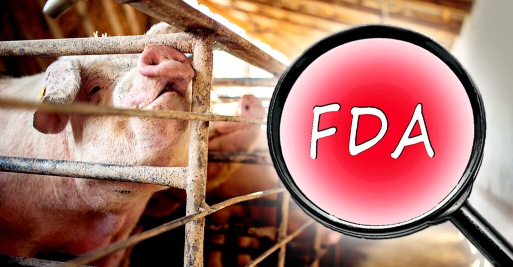 FDA Plan to Get Antibiotics Out of Factory Farm Animals Is Failing