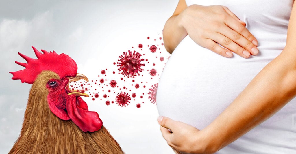 Fact-Checking The Guardian: Will Most Pregnant Women and Babies Who Get Bird Flu Die?