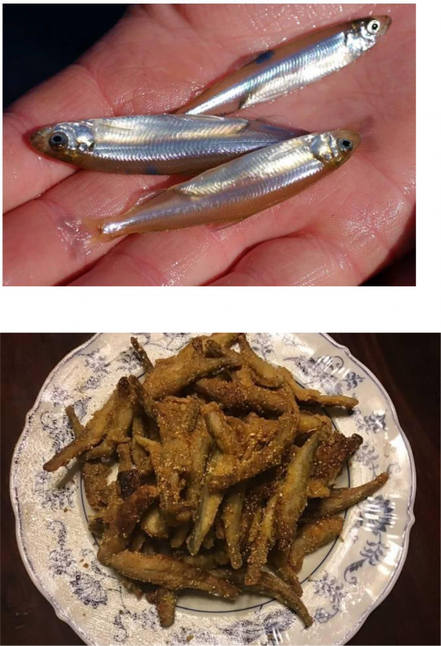 Wildfires, Fried Smelt, and the Hoary Hoax of a Burning Planet