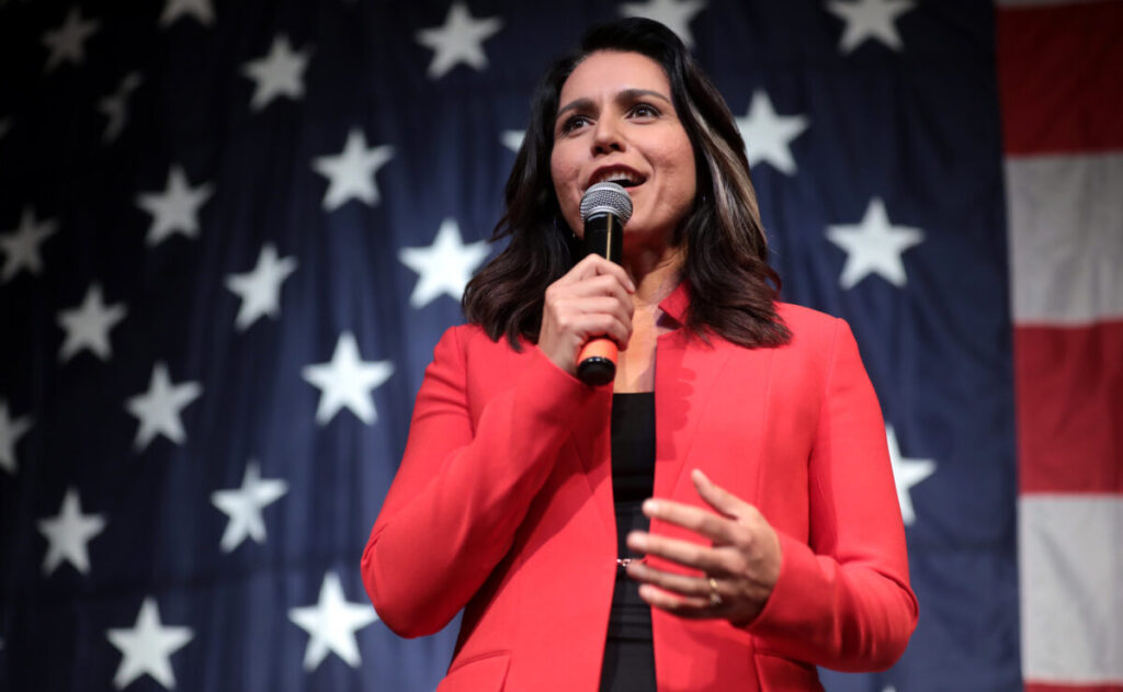 NYT Uses Anonymous Terrorist Sources For Latest Deep State Hit On Tulsi Gabbard