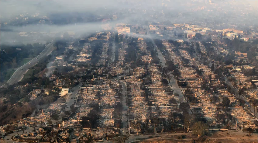 Tell us again how these trees show no evidence of fire as they stand right next to totally burned down houses and vehicles with melted hub caps?!?!?!