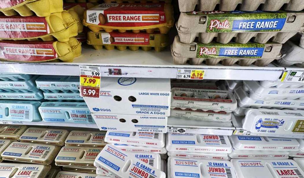 Grocery Chains Ration Eggs After Mass Chicken Slaughter For Bird Flu