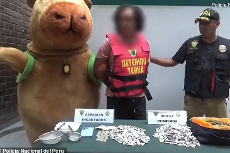 Peru: Police Officer Disguised In Capybara Costume Makes Arrest In Drug Probe