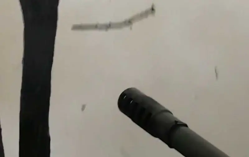 Russian paratroopers advance towards Basovka in Sumy region
