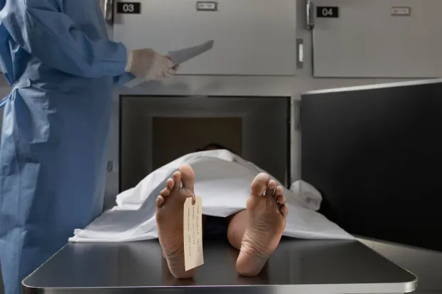 OVER MY DEAD BODY ‘Spare’ human bodies grown in artificial wombs in lab as scientists insist ‘bodyoids’ feel no pain & can serve as ‘MEAT’