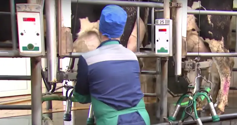 Milkers and ballet dancers: Russia expands list of professions for alternative civilian service