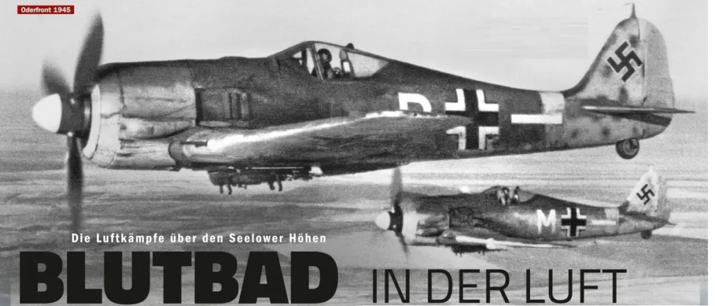 "Bloodbath". Air battle over the Seelow Heights