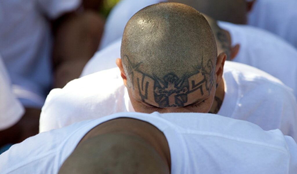 Do You Know Why the Beatified MS-13 'Maryland Father' Was 'Mistakenly' Deported?
