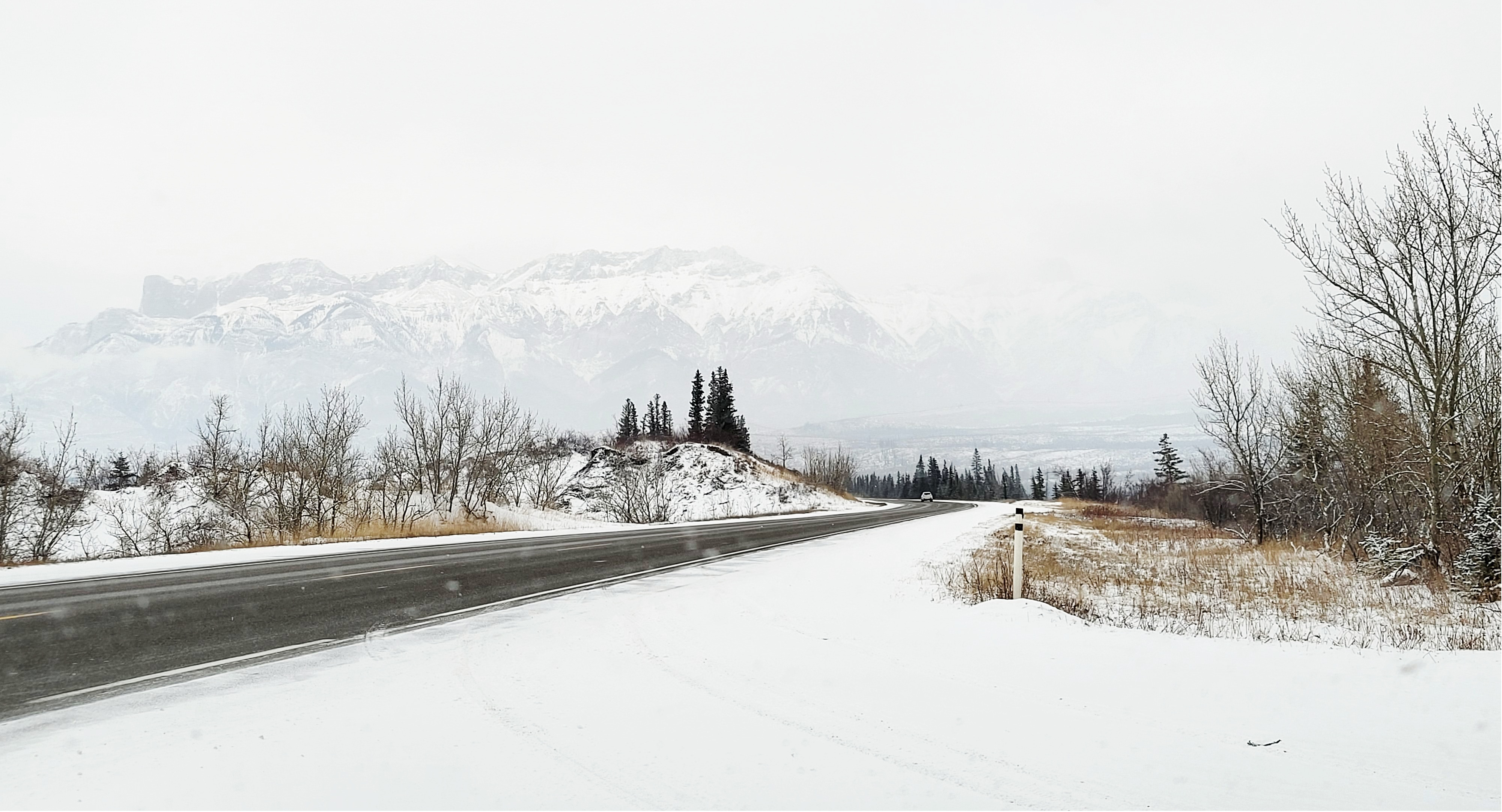 Snow-covered road curving through a quiet landscape with light snowfall, bare trees on both sides, and snow-capped mountains faintly visible in the misty background.