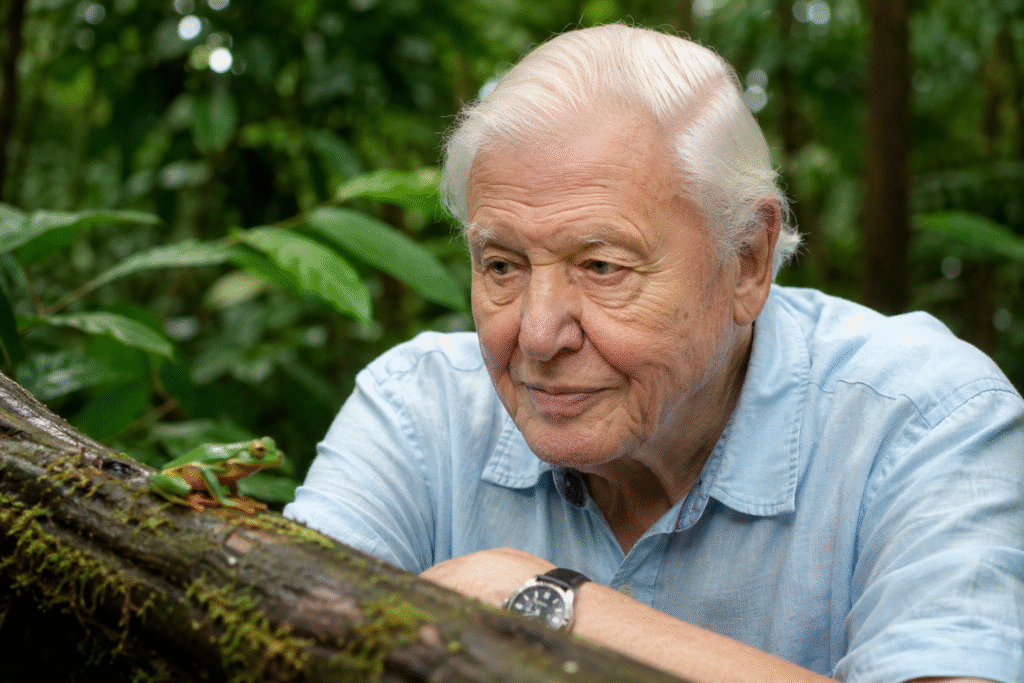 Elderly naturalist observing a small frog on a moss-covered log in a lush tropical forest environment.